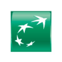 Organisation Logo