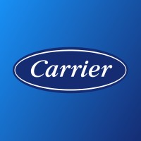 Organisation Logo