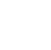 Attendees