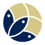 Organisation Logo