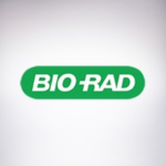 Organisation Logo