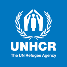 Organisation Logo