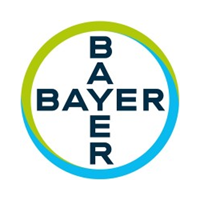 Organisation Logo