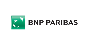 Organisation Logo
