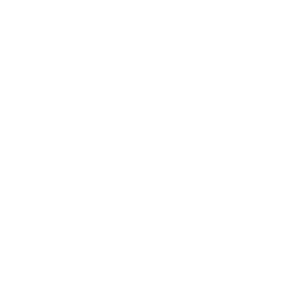 Payment icon